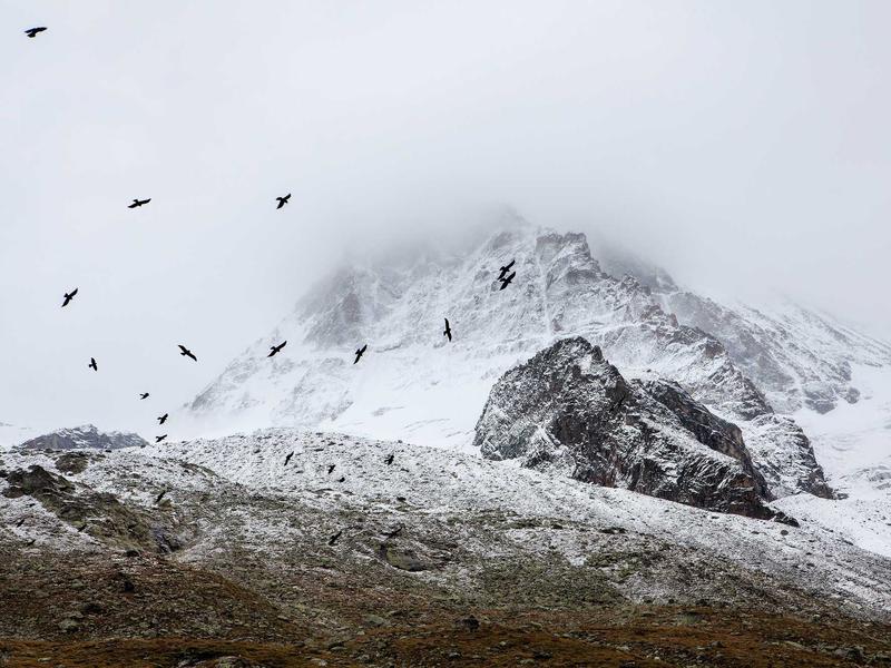 sudoku forcing chains screenshot 1